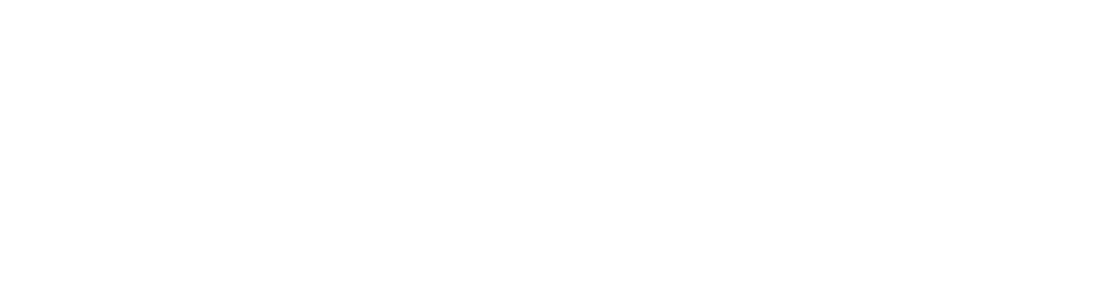 NILENO – vollständiges Original-Logo